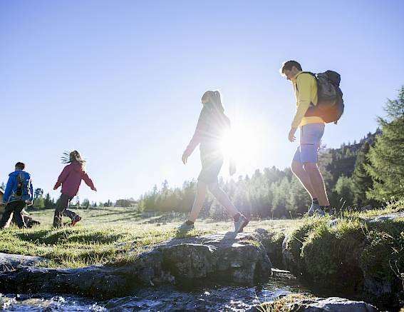 Vier Personen wandern bei Sonnenschein über eine Wiese in den Bergen.