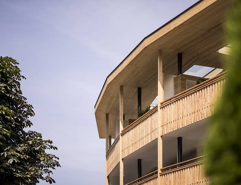 Struttura moderna in legno con linee curve, incorniciata da alberi sotto un cielo limpido.