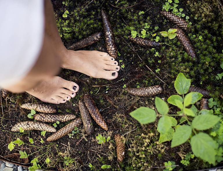 Barfuß auf Waldboden mit Tannenzapfen und Pflanzen. qq Unterbosco con pigne e vegetazione, piedi nudi. qq Bare feet on forest floor with pinecones and plants.