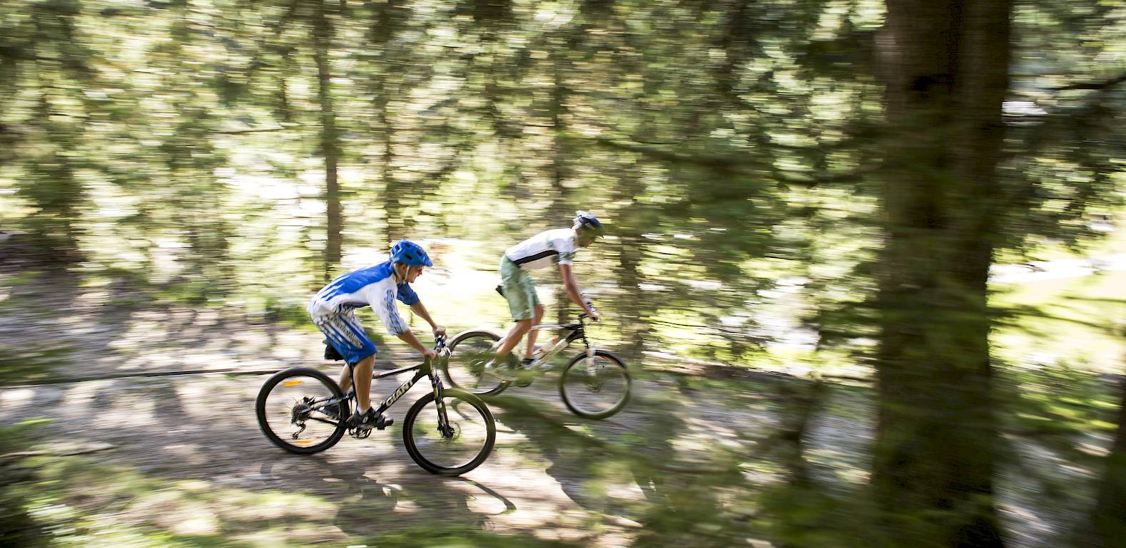 Zwei Radfahrer fahren schnell durch einen bewaldeten Pfad, umgeben von hohen Bäumen.