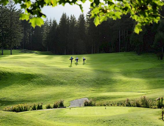 Golfisti su prato verde nel bosco, cielo luminoso, giornata soleggiata. Alberi sullo sfondo.