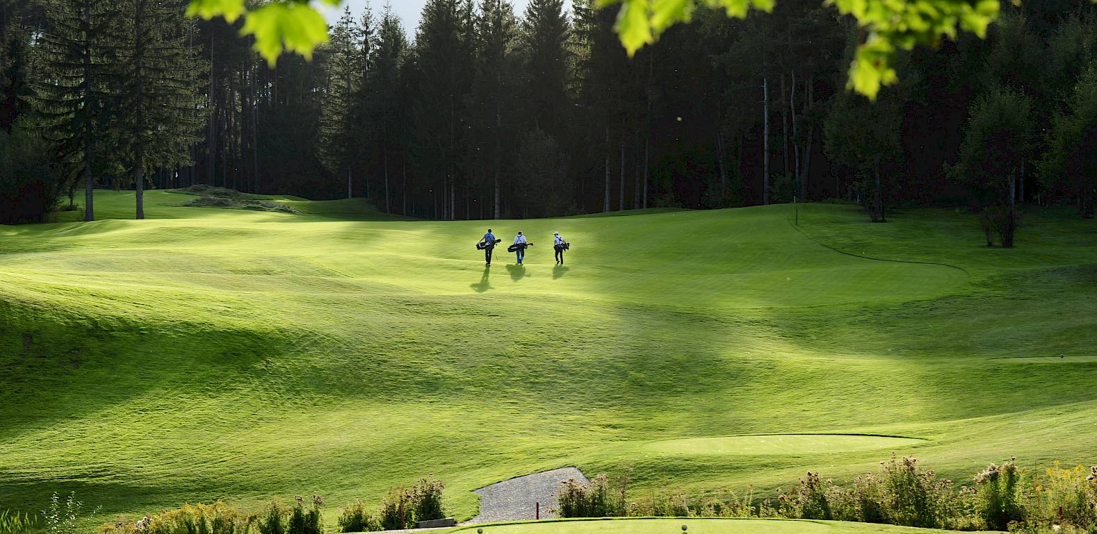 Golfers walking on a sunny golf course with trees in the background.
