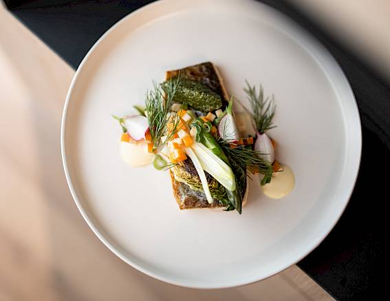 Ein elegant angerichteter Teller mit Fischfilet, Kräutern und Gemüse auf einem hellen Hintergrund.
