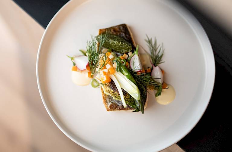 Ein elegant angerichteter Teller mit Fischfilet, Kräutern und Gemüse auf einem hellen Hintergrund.
