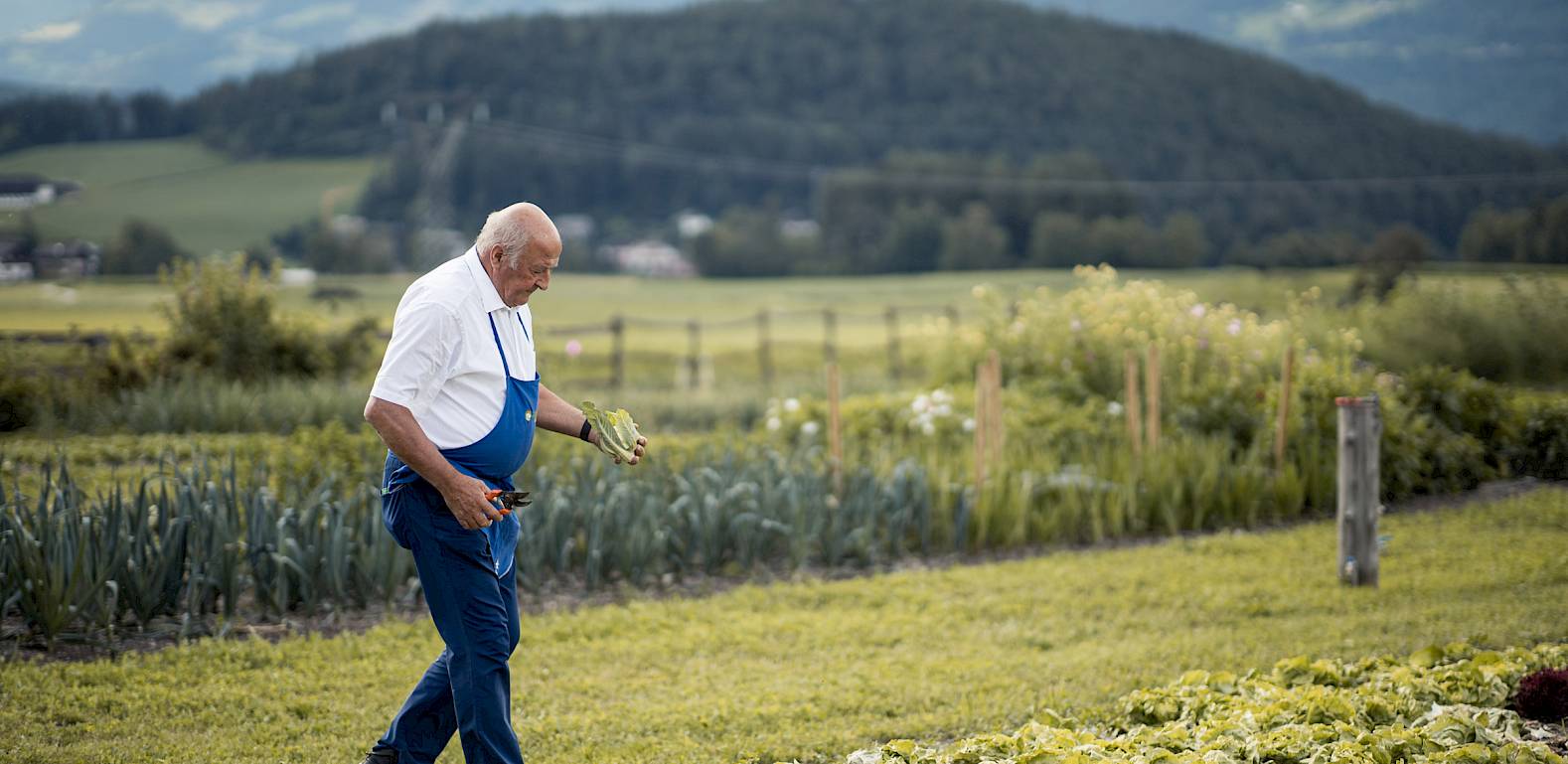 Ein älterer Mann geht durch ein Gemüsefeld mit Bergen im Hintergrund. Er trägt blaue Latzhose.