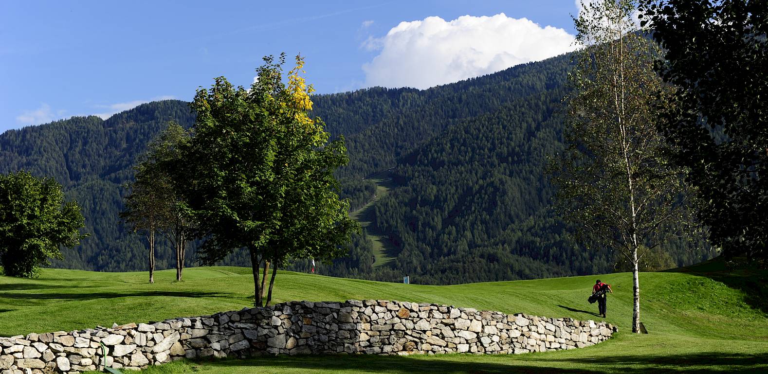 Green landscape with trees, stone wall, and mountains in the background under a clear sky.