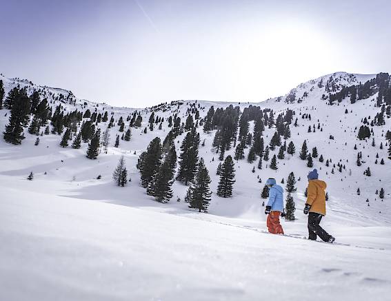 Zwei Menschen wandern im Winter durch eine schneebedeckte Berglandschaft mit Bäumen unter klarem Himmel.