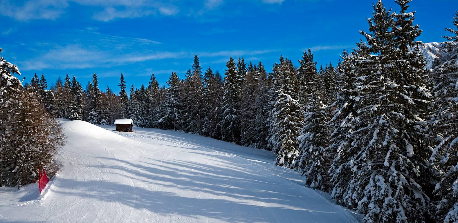 Pista innevata tra foreste di abeti. Cielo blu, piccola baita al margine della pista. Paesaggio invernale tranquillo.
