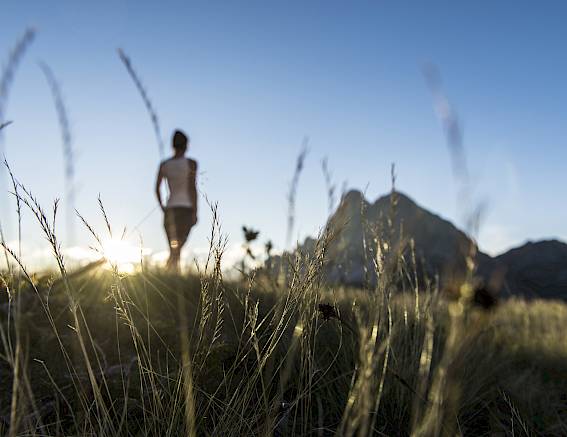 Silhouette einer Person bei Sonnenuntergang in den Bergen, umgeben von hohen Gräsern.