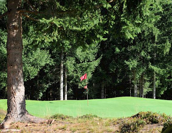 Ein Golfplatz mit roter Fahne, umgeben von dichten, grünen Bäumen im Hintergrund.