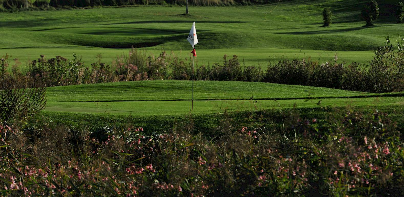 Golfplatz mit grünem Fairway, weiße Fahne auf dem Putting Green, umgeben von Büschen und Bäumen.