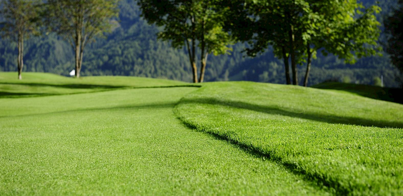 Grüne Golfplatzlandschaft mit Bäumen im Hintergrund unter klarem Himmel. Ideal für ein entspanntes Spiel.