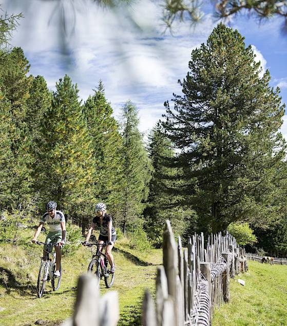 Zwei Radfahrer fahren entlang eines Waldwegs neben einem Holzzaun unter blauem Himmel.