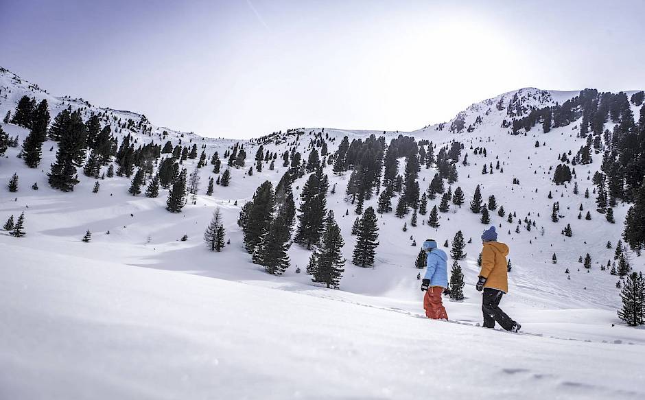 Zwei Menschen wandern durch eine schneebedeckte Berglandschaft mit vereinzelten Bäumen unter klarem Himmel.