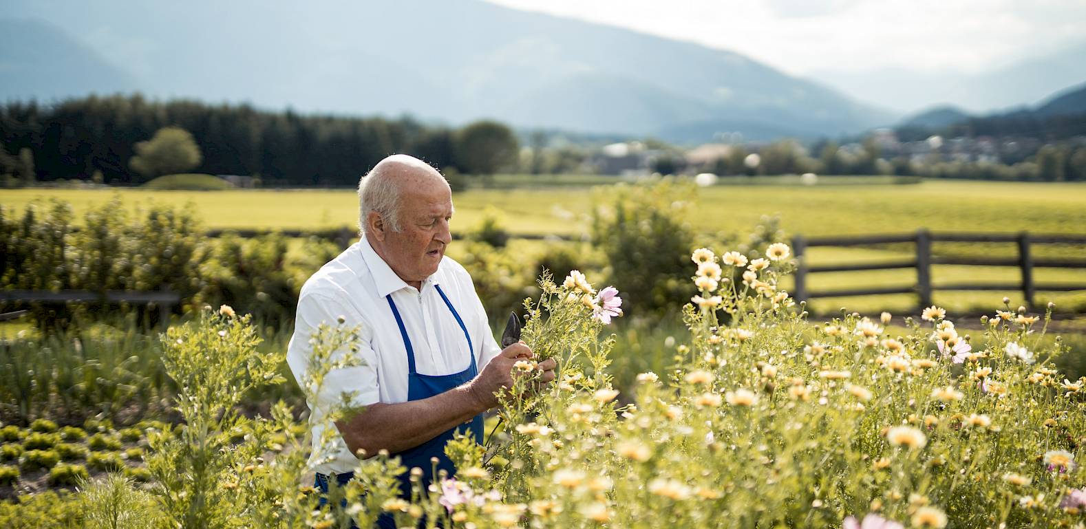 Ein älterer Mann im Garten pflückt Blumen vor einem malerischen Bergpanorama.