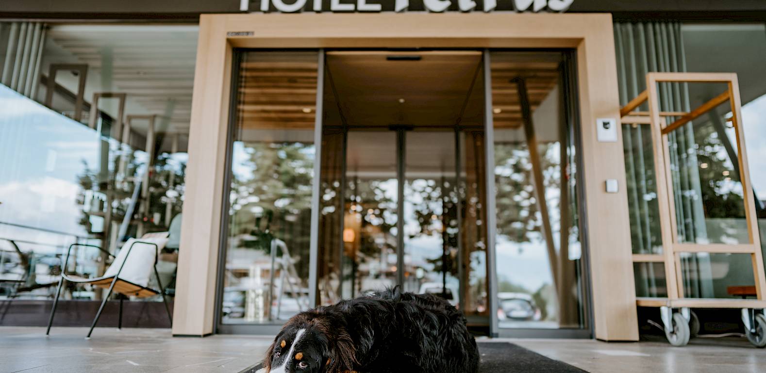 Ein Hund liegt auf einer Matte vor dem Eingang des Hotel Petrus, umgeben von moderner Architektur.