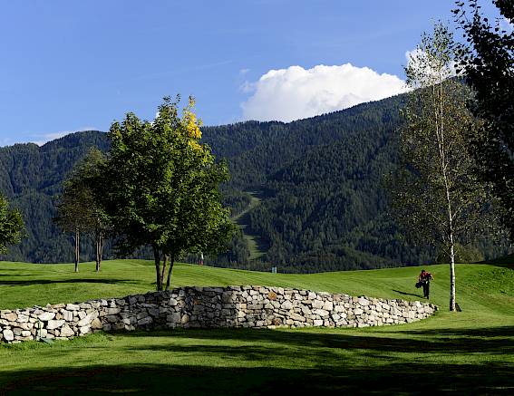 Green meadow with trees and stone wall in front of a forested mountain landscape on a sunny day.