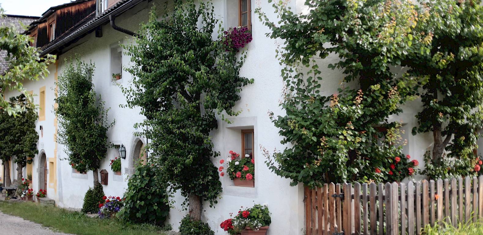 Casa bianca antica con piante in fiore sulla facciata e recinto di legno, situata su una strada tranquilla.