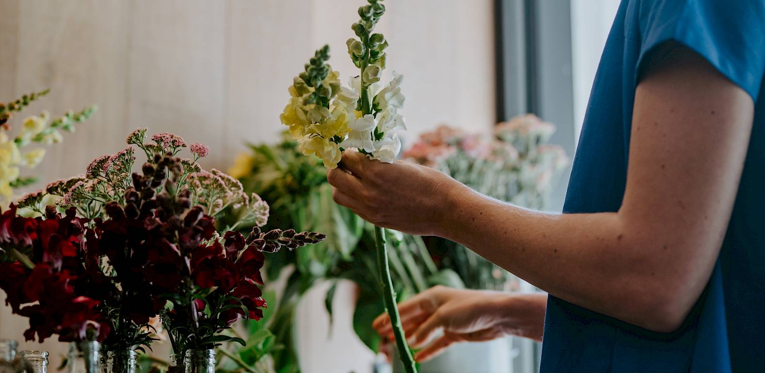 Person in blue shirt arranging flowers in glass vases on wooden surface. Light and dark flowers visible.