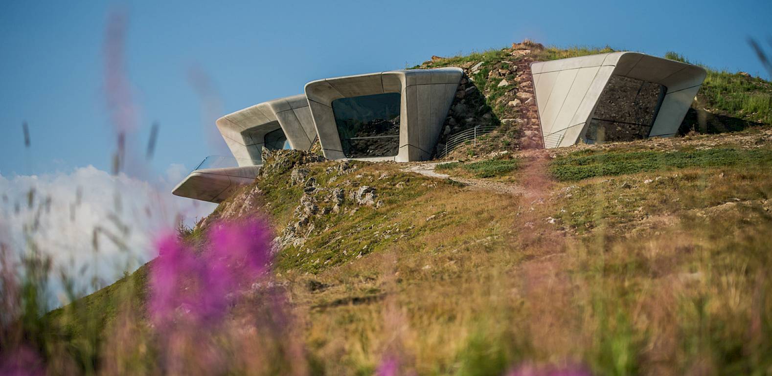 Modernes Gebäude in einem Hügel eingebettet, umgeben von blauem Himmel und violetten Wildblumen.